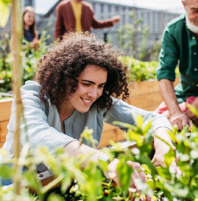 HCSCcom-ImageLayouts